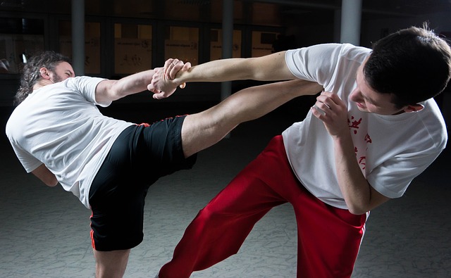 breekplanken taekwondo